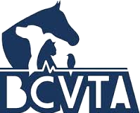 BCVTA Logo